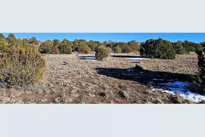 4964 Morning Glory Street, Clay Springs, AZ 85923 - Photo 5