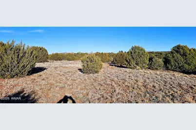 4964 Morning Glory Street, Clay Springs, AZ 85923 - Photo 11