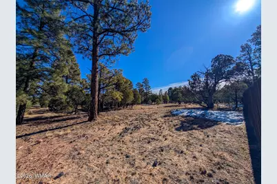 1462 Low Mountain Trail, Heber, AZ 85928 - Photo 9