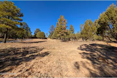 1462 Low Mountain Trail, Heber, AZ 85928 - Photo 5