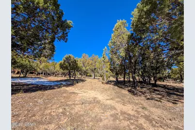 1462 Low Mountain Trail, Heber, AZ 85928 - Photo 7