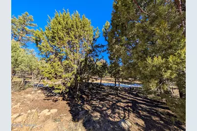 1462 Low Mountain Trail, Heber, AZ 85928 - Photo 3