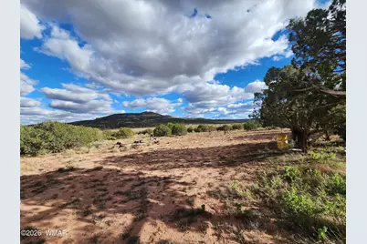 Lot 18 N8612, Concho, AZ 85924 - Photo 35