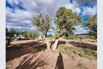 Lot 18 N8612, Concho, AZ 85924 - Photo 33