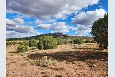 Lot 18 N8612, Concho, AZ 85924 - Photo 3