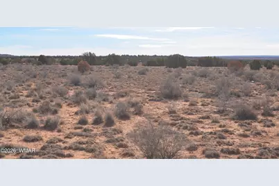 3988 Antelope Ridge Road, Snowflake, AZ 85937 - Photo 3