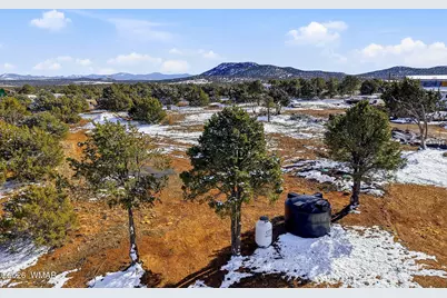 18 Cr 8021, Concho, AZ 85924 - Photo 17