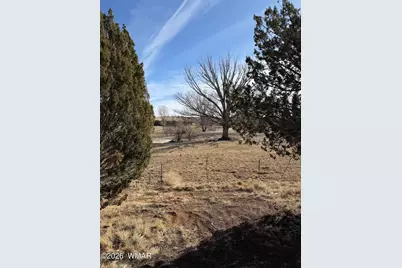 16 Mellon Lane (County Road 5099), Concho Valley, AZ 85924 - Photo 15