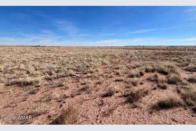 7785 Quail Street, Sun Valley, AZ 86029 - Photo 3