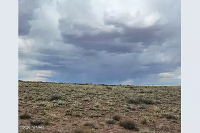 7785 Quail Street, Sun Valley, AZ 86029 - Photo 5