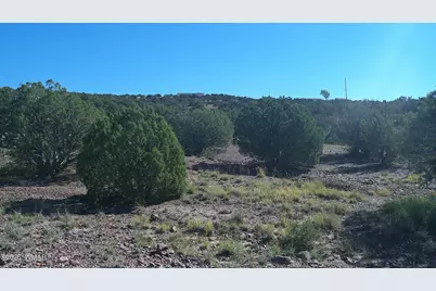 41 County Road 5062, Concho, AZ 85924 - Photo 7