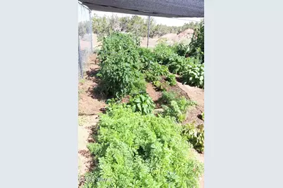 132 N8570 (Moongap), Concho, AZ 85924 - Photo 39