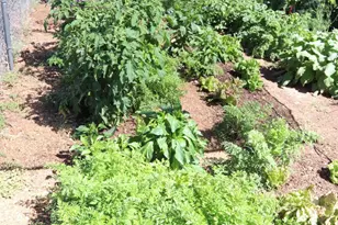 532 N8570 (Moongap), Concho, AZ 85924 - Photo 39