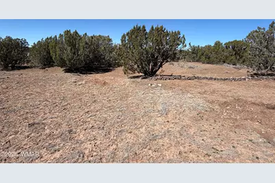 63 County Road, Concho, AZ 85924 - Photo 7