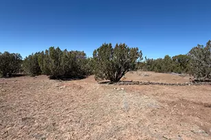 63 County Rd, Concho, AZ 85924 - Photo 7