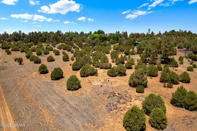 7104 State Route 260, Show Low, AZ 85901 - Photo 15