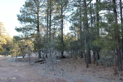 4610 W Hawthorn Road, Show Low, AZ 85901 - Photo 9