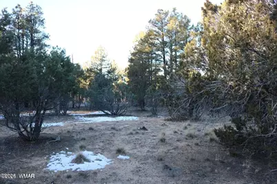 4610 W Hawthorn Road, Show Low, AZ 85901 - Photo 7