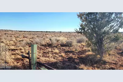 Tbd 110 Acres 180 &amp; 180A, Concho, AZ 85924 - Photo 3