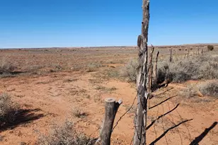 Tbd Acr 5152 - 160 Acres, Concho, AZ 85924 - Photo 1