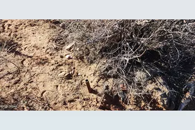 496 Cr 5152, Concho, AZ 85924 - Photo 7