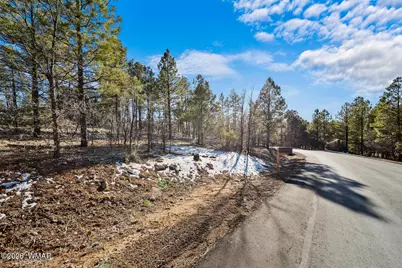 1481 S Snowberry Loop, Show Low, AZ 85901 - Photo 7