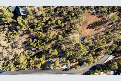 1481 S Snowberry Loop, Show Low, AZ 85901 - Photo 3