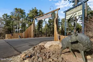 4400 S Mogollon Trail, Show Low, AZ 85901 - Photo 39