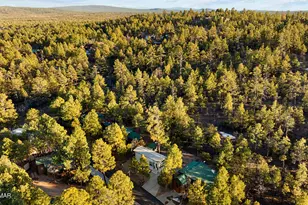 4400 S Mogollon Trail, Show Low, AZ 85901 - Photo 31