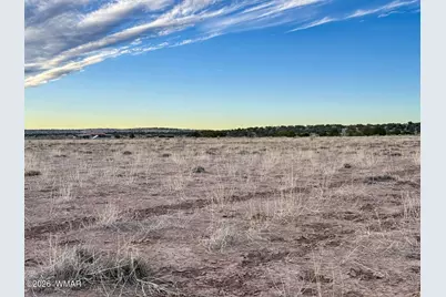 1017 Woodland Valley Ranch Road, Saint Johns, AZ 85936 - Photo 21