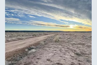 1017 Woodland Valley Ranch Road, Saint Johns, AZ 85936 - Photo 5