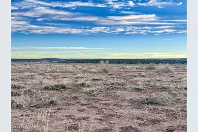 1017 Woodland Valley Ranch Road, Saint Johns, AZ 85936 - Photo 23