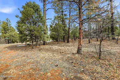2480 Narrow Leaf Lane, Show Low, AZ 85901 - Photo 7