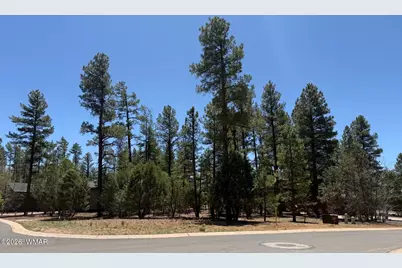 2480 Narrow Leaf Lane, Show Low, AZ 85901 - Photo 1