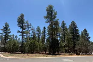 2480 Narrow Leaf Ln, Show Low, AZ 85901 - Photo 1