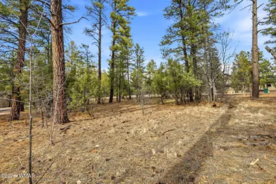 2480 Narrow Leaf Lane, Show Low, AZ 85901 - Photo 5