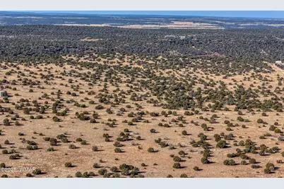 Tbd Shumway Road, Shumway, AZ 85901 - Photo 15