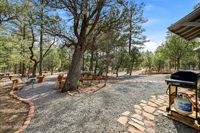 2056 Lone Mountain, Overgaard, AZ 85933 - Photo 27