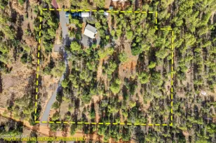 2056 Lone Mountain, Overgaard, AZ 85933 - Photo 33