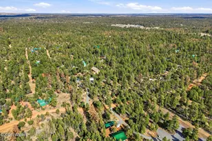 2056 Lone Mountain, Overgaard, AZ 85933 - Photo 31