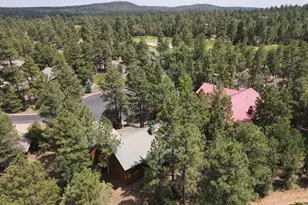 3170 W Lodgepole Ln, Show Low, AZ 85901 - Photo 23