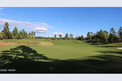 3170 W Lodgepole Lane, Show Low, AZ 85901 - Photo 45