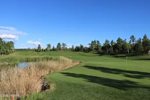 3170 W Lodgepole Ln, Show Low, AZ 85901 - Photo 43