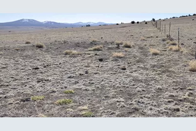 152 Cr 3371, Concho, AZ 85924 - Photo 5