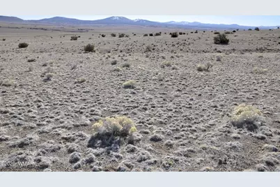 152 Cr 3371, Concho, AZ 85924 - Photo 1