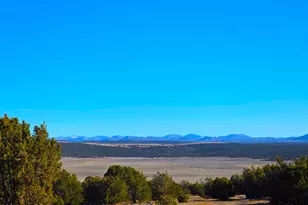 Tbd Bunkhouse Rd, Show Low, AZ 85901 - Photo 1