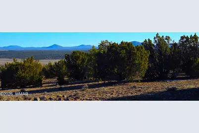 Tbd Bunkhouse Road, Show Low, AZ 85901 - Photo 3