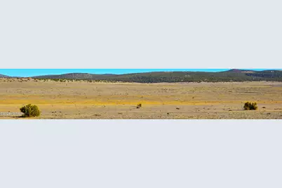 Tbd Bunkhouse Road, Show Low, AZ 85901 - Photo 11