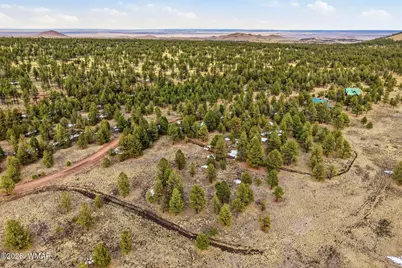 14 County Road N 1332, Greer, AZ 85927 - Photo 7