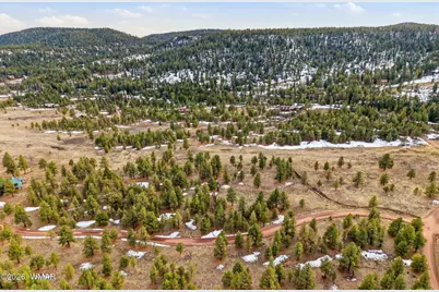 14 County Road N 1332, Greer, AZ 85927 - Photo 3